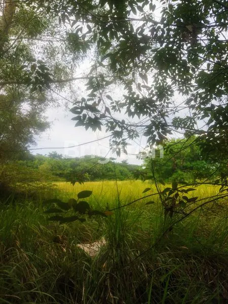 image KAVLING SIAP PAKAI  (6)