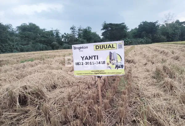 image TANAH SAWAH DI NGEPENG, PANDEYAN, SUKOHARJO  (1)