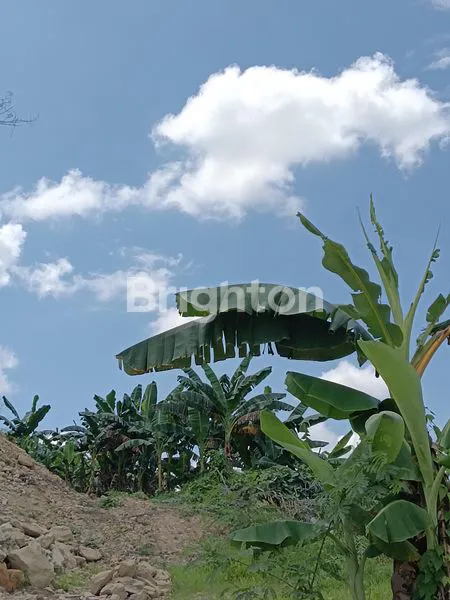 image RUMAH CANTIK DI SIMPANG PASIR (6)