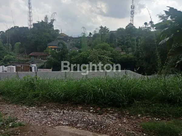 image TANAH DI MEGA MENDUNG (4)