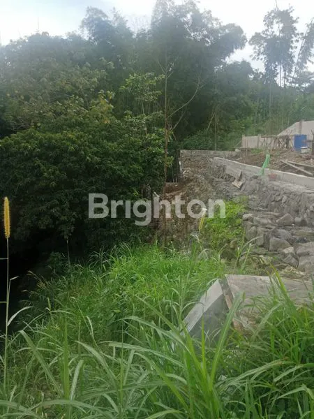 image TANAH DI MEGA MENDUNG (3)