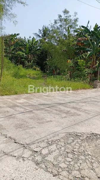 image TANAH DIJUAL KAMPUNG TIMUR (1)