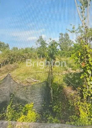 image TANAH BADENG TIMUR, JEMBRANA, BALI (2)