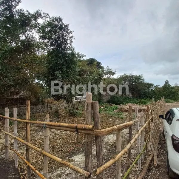 image DIJUAL TANAH PECATU ULUWATU 6,5 ARE (2)