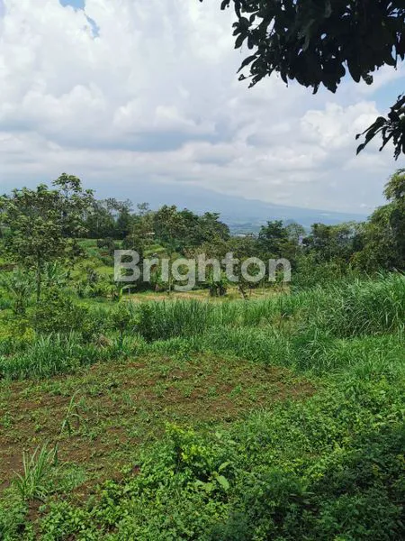 image TANAH POROS JALAN RAYA DEKAT UNIV UIN KOTA MALANG STRATEGIS COCOK UTK KOS²AN (2)