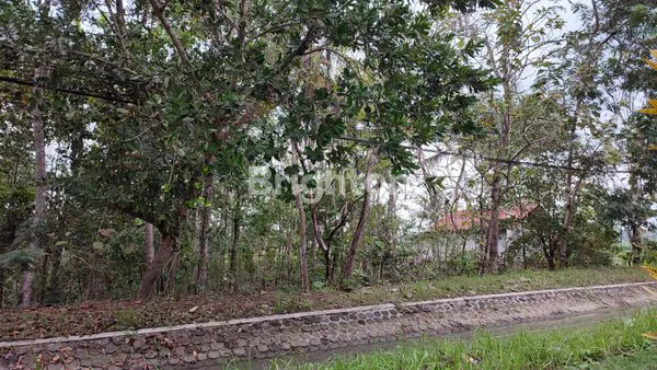 image TANAH ISTIMEWA SELUAS 1.271 M² DEKAT STASIUN DAN BANDARA NYIA (4)