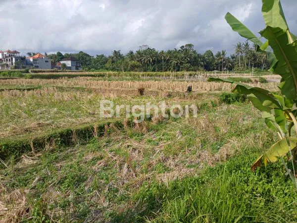 24 ARE SEWA TANAH DI UBUD ZONA PEMUKIMAN DAN VIEW SAWAH