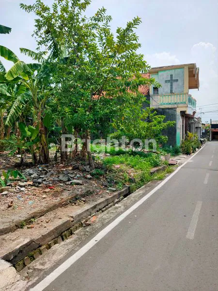 image TANAH MOJOSONGO (1)