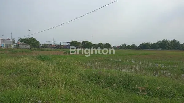 image TANAH LOKASI STRATEGIS DI SEPATAN KABUPATEN TANGERANG (5)