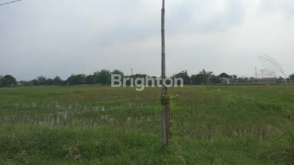 image TANAH LOKASI STRATEGIS DI SEPATAN KABUPATEN TANGERANG (2)