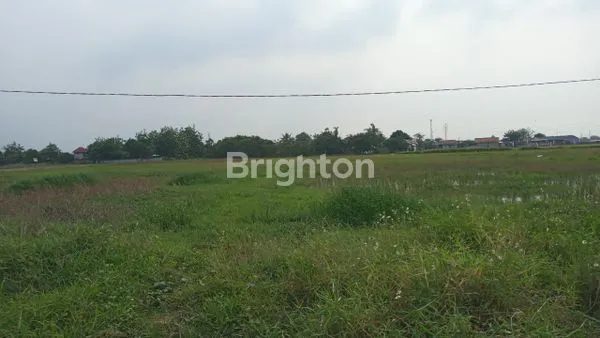 image TANAH LOKASI STRATEGIS DI SEPATAN KABUPATEN TANGERANG (8)