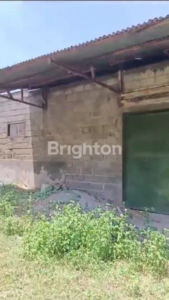 image TANAH EX PETERNAKAN AYAM LOKASI DESA GAMBIRAN, PRIGEN-PASURUAN (3)