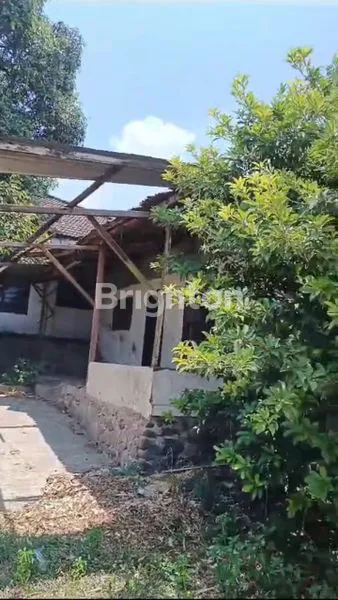 image TANAH EX PETERNAKAN AYAM LOKASI DESA GAMBIRAN, PRIGEN-PASURUAN (5)