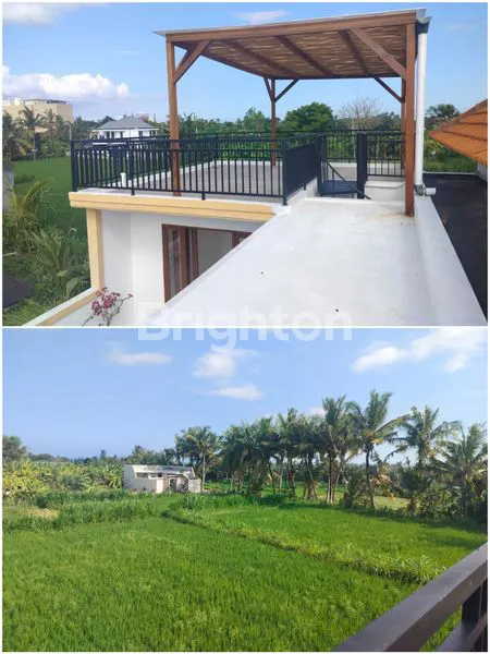 image BEAUTIFUL 2 BEDROOM VILLA IN SABA, EAST COAST BALI. RICE FIELD & SEA VIEWS.NEXT TO SABA BEACH, KERAMAS BEACH, RS KASIH IBU HOSPITAL, FLAMINGO BEACH CLUB, SABA HORSERIDING.  (7)