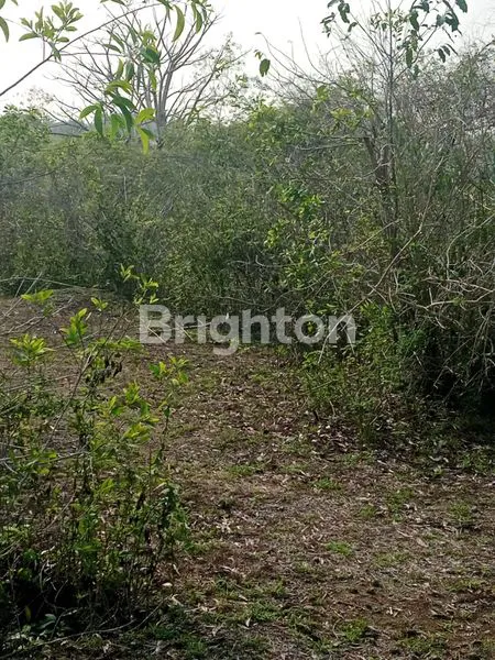 image LEASEHOLD TANAH DI UNGASAN - BADUNG 20 TAHUN DENGAN VIEW OCEAN ,AIRPORT DAN GWK  (4)