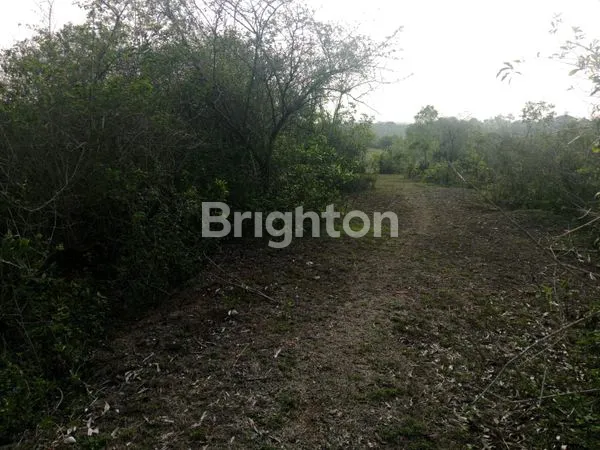 image LEASEHOLD TANAH DI UNGASAN - BADUNG 20 TAHUN DENGAN VIEW OCEAN ,AIRPORT DAN GWK  (5)