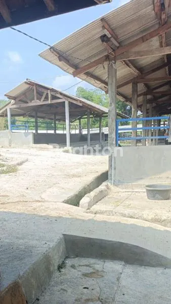 image DISEWAKAN  TANAH 2  HEKTAR (5)