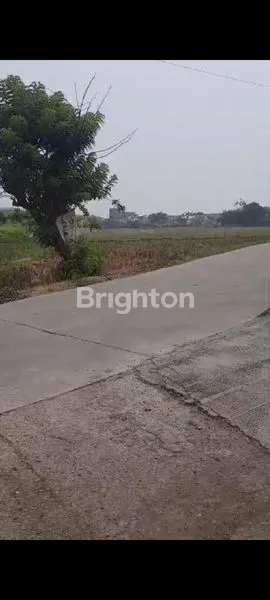 image TANAH LUAS DI CIKARANG TIMUR (2)