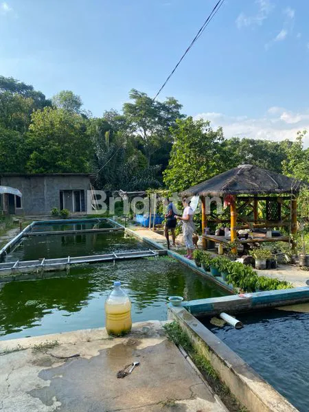 image TANAH DENGAN VIEW RAWAPENING DI SALATIGA (6)