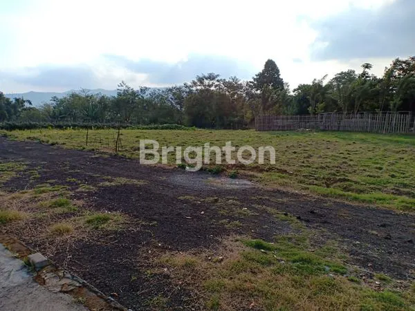 image TANAH STRATEGIS PINGGIR JALAN RAYA NONGKOJAJAR ARAH GUNUNG BROMO (2)