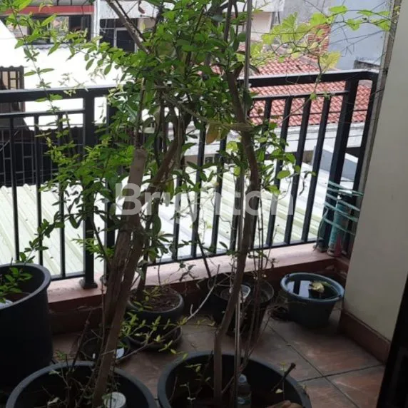 image RUMAH APIK SIAP HUNI DI KRUKUT (6)