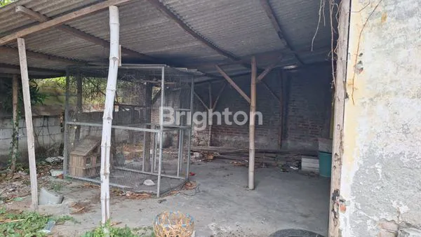 image RUMAH DIBAWAH HARGA PASAR (4)