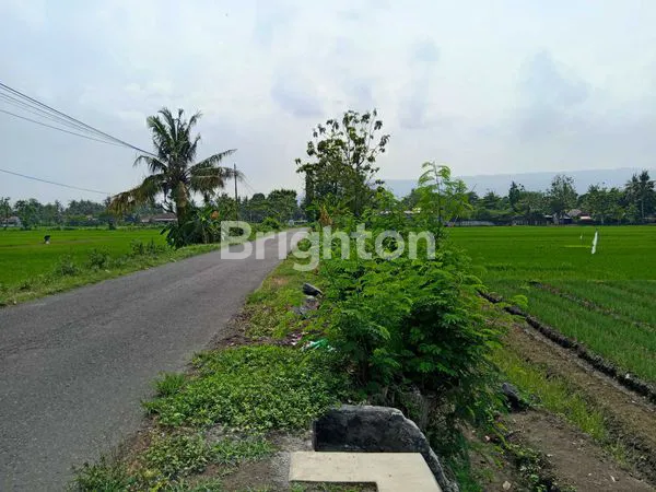 image TANAH DEKAT JALAN PARANGTRITIS (2)