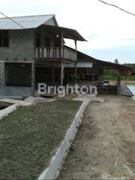 image JUAL TANAH BONUS KEBON SAWIT, TAMBAK IKAN, PEMANCINGAN DAN VILLA. (7)