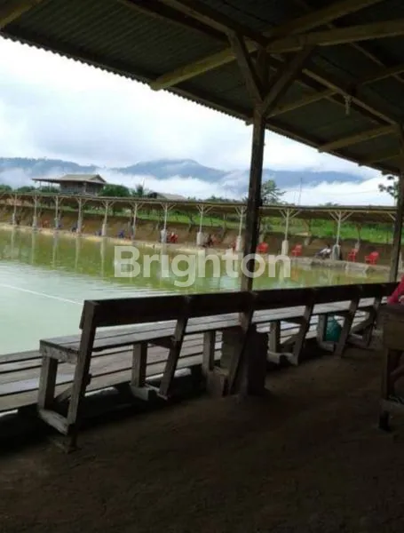 image JUAL TANAH BONUS KEBON SAWIT, TAMBAK IKAN, PEMANCINGAN DAN VILLA. (4)