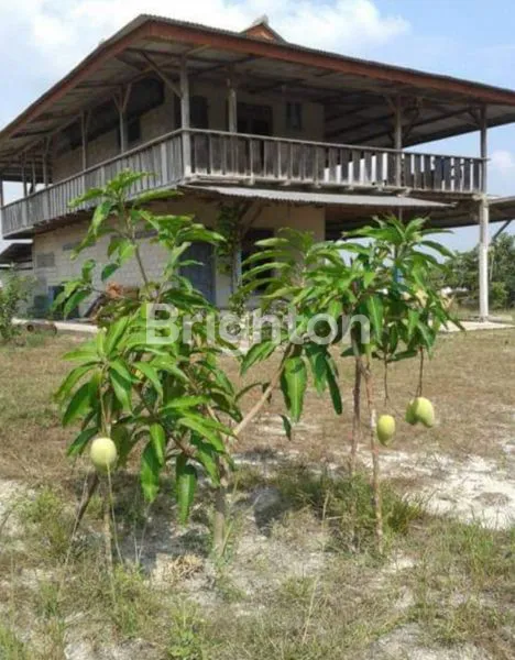 image JUAL TANAH BONUS KEBON SAWIT, TAMBAK IKAN, PEMANCINGAN DAN VILLA. (2)