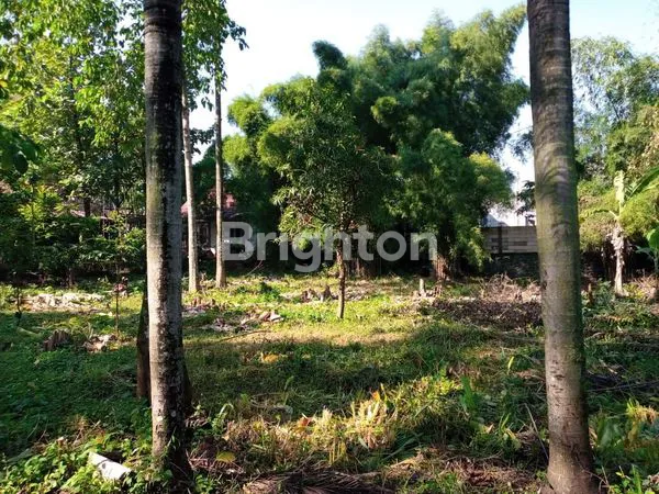 image DIJUAL TANAH LOKASI BAGUS ADA DANAUNYA (2)