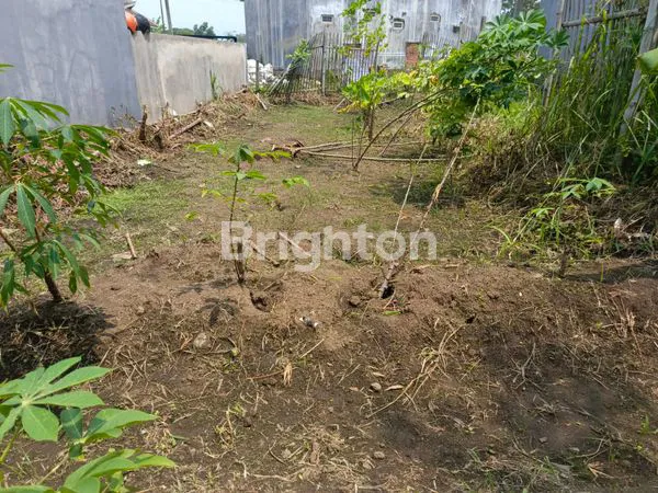 image TANAH KAVLING LUAS STRATEGIS SANGAT COCOK UNTUK DIBANGUN RUMAH DI PAKIS DEKAT DENGAN BANDARA ABD SALEH DAN BINUS ARAYA (1)