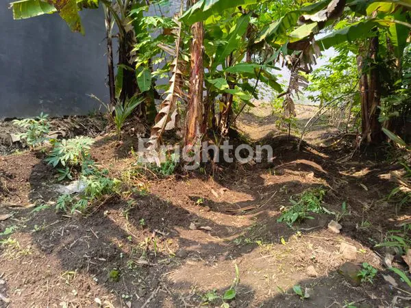 image TANAH KAVLING LUAS STRATEGIS SANGAT COCOK UNTUK DIBANGUN RUMAH DI PAKIS DEKAT DENGAN BANDARA ABD SALEH DAN BINUS ARAYA (3)