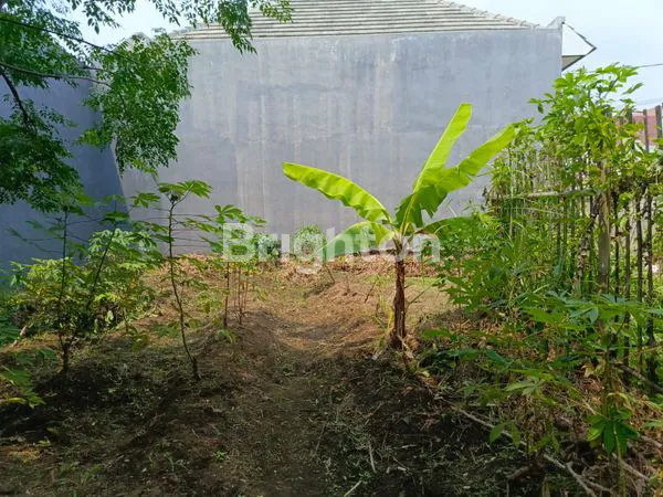 image TANAH KAVLING LUAS STRATEGIS SANGAT COCOK UNTUK DIBANGUN RUMAH DI PAKIS DEKAT DENGAN BANDARA ABD SALEH DAN BINUS ARAYA (2)