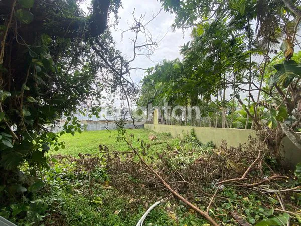 image TANAH KAVLING MURAH KARAWACI TAMAN HOLLANDIA (4)