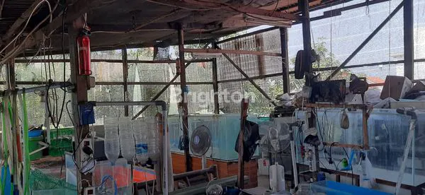 image JUAL CEPAT RUMAH ROROTAN CILINCING  (5)