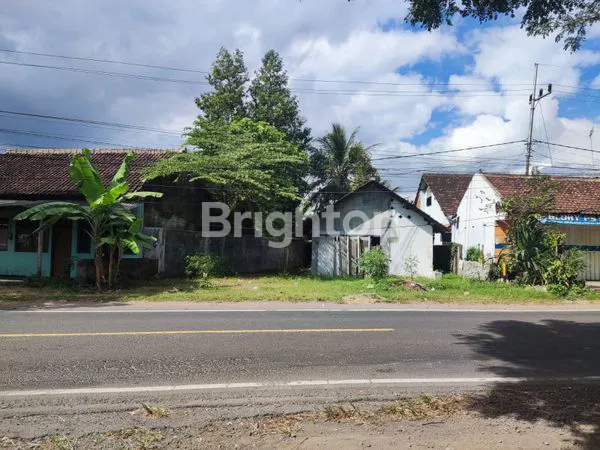 TANAH 0 JALAN RAYA JAJAG - GAMBIRAN - BANYUWANGI COCOK UNTUK USAHA TOKO-CUCIAN MOBIL-CAFE