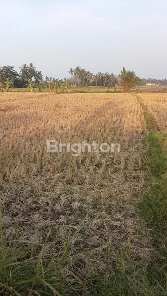 TANAH DI BELAKANG PIK 3 TANGERANG