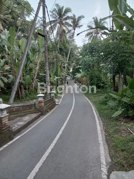 image TANAH DEKAT FURAMA UBUD (1)
