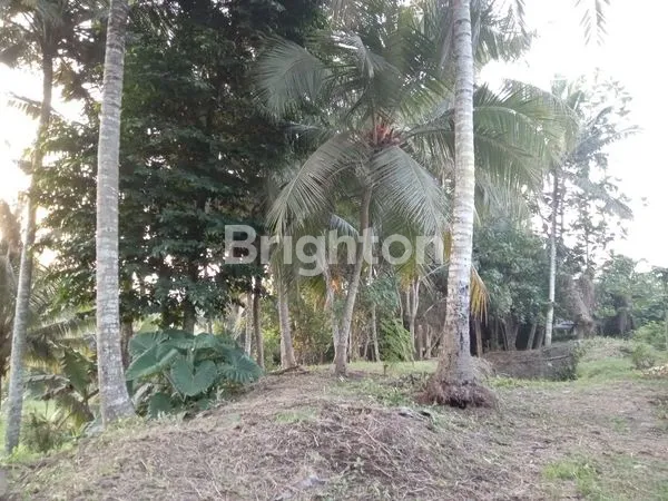 image TANAH DEKAT FURAMA UBUD (2)
