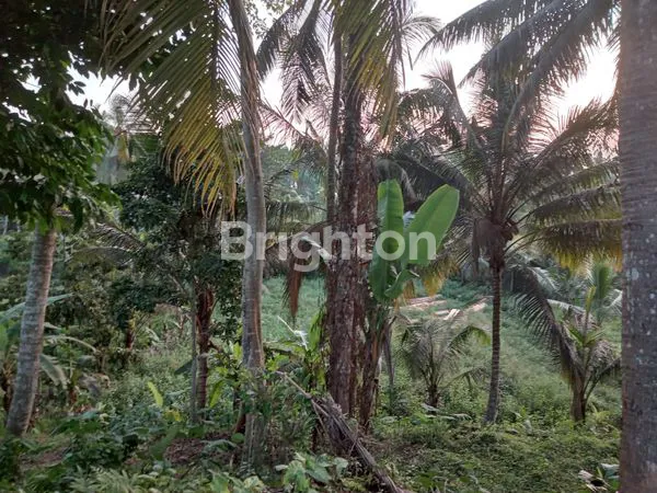 image TANAH DEKAT FURAMA UBUD (3)