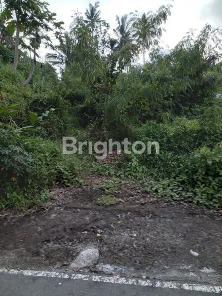 image TANAH DEKAT FURAMA UBUD (4)