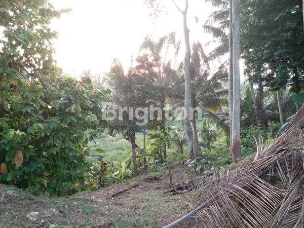 image TANAH DEKAT FURAMA UBUD (5)