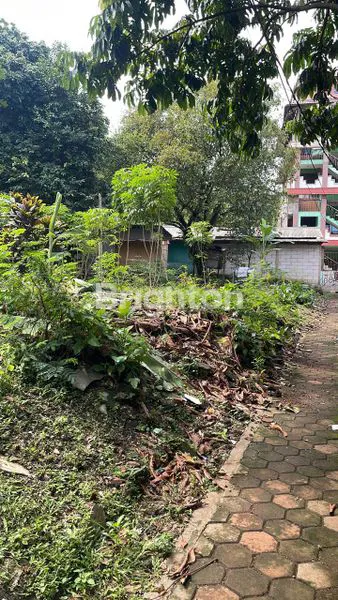 TANAH DATAR PINGGIR JALAN, BOGOR