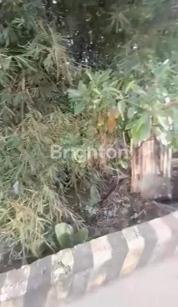 image DIJUAL TANAH/LAHAN PINGGIR JALAN SUNGAI AMPAL COCOK DIBUAT RUKO, CAFE, RUMAH MAKAN DAN USAHA LAINNYA HARGA NEGO (4)