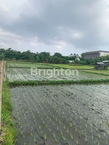 7 ARE TANAH SEWA TERMURAH DI AREA PALING HITS DI UMALAS