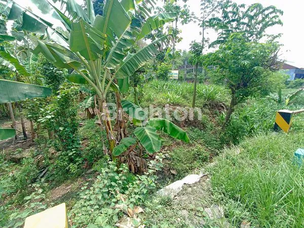 TANAH PINGGIR JALAN RAYA