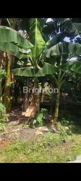 image TANAH STRATEGIS DI PEKAYON JAYA BEKASI (2)