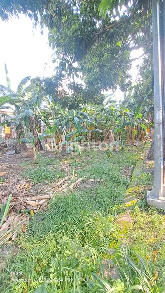 image DIJUAL TANAH 0 JALAN RAYA SAMBIKEREP (1)