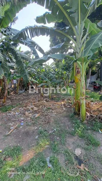 image DIJUAL TANAH 0 JALAN RAYA SAMBIKEREP (2)